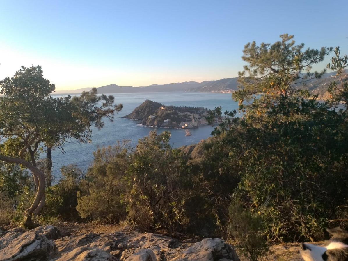 Casa Caterina Setri Levante Sestri Levante Luaran gambar